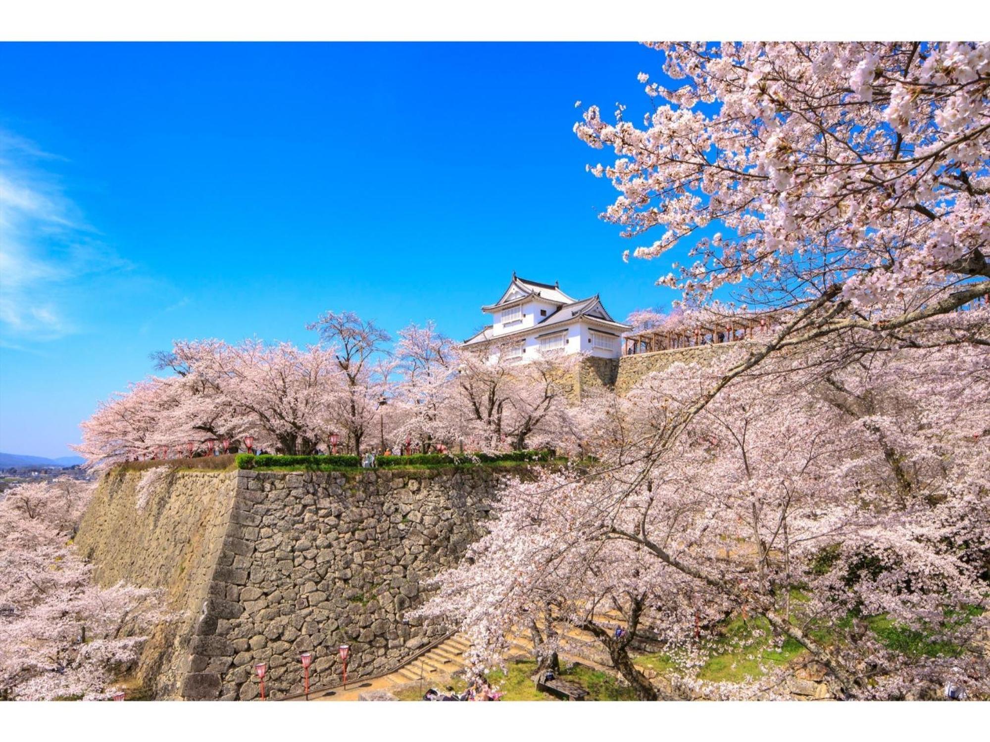 Tsuyama Kakuzan Hotel - Vacation Stay 75683V Екстер'єр фото